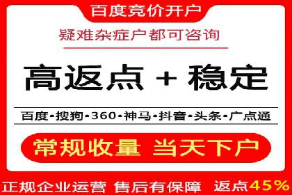 百度SEO推广公司案例分享：行业佼佼者经验
